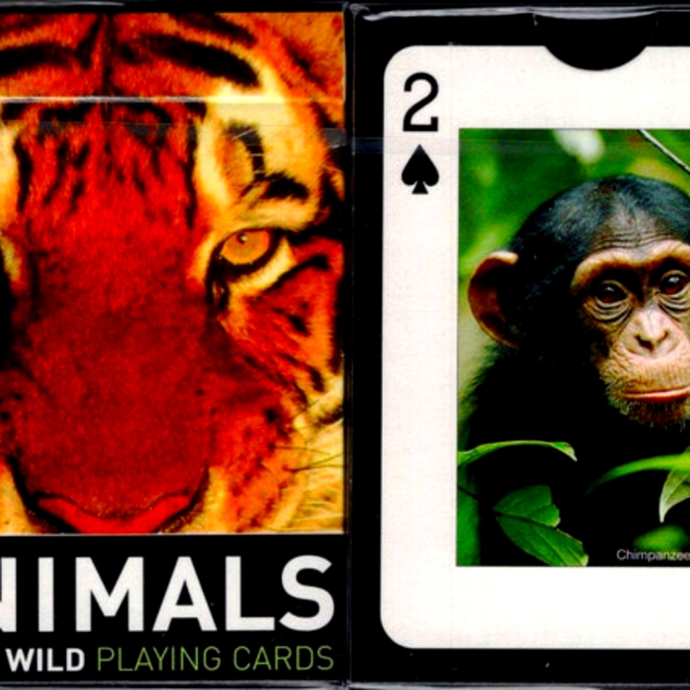 ANIMALS OF THE WILD IMAGES ON PLAYING CARDS
